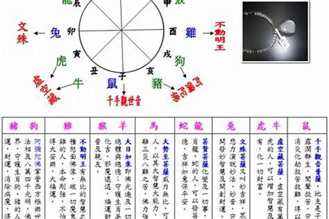 1947年五行属什么|1947年属什么命？解读属猪人的个性与命运